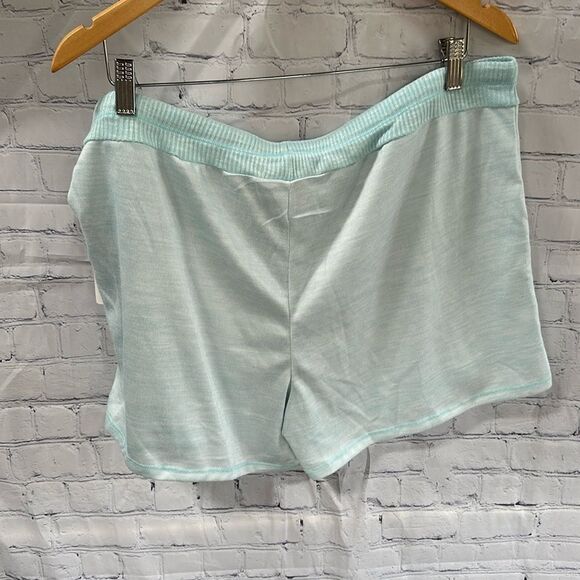 Brand New Secret Treasures Blue Shorts Woman’s size XL - Picture 3 of 7